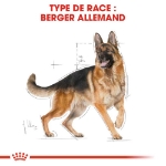 Image de BHN German Sheph. Puppy 12kg