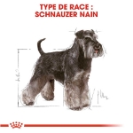 Image de BHN Mini Schnauzer Adult 3kg