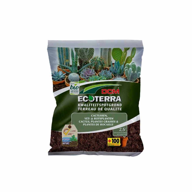 Image de DCM TERREAU CACT/PL GRA 5L