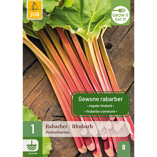 Image de 1 RHEUM / RHUBARBE RHABARARUM I