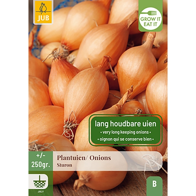 Image de 250 gr. OIGNONS STURON 14/21