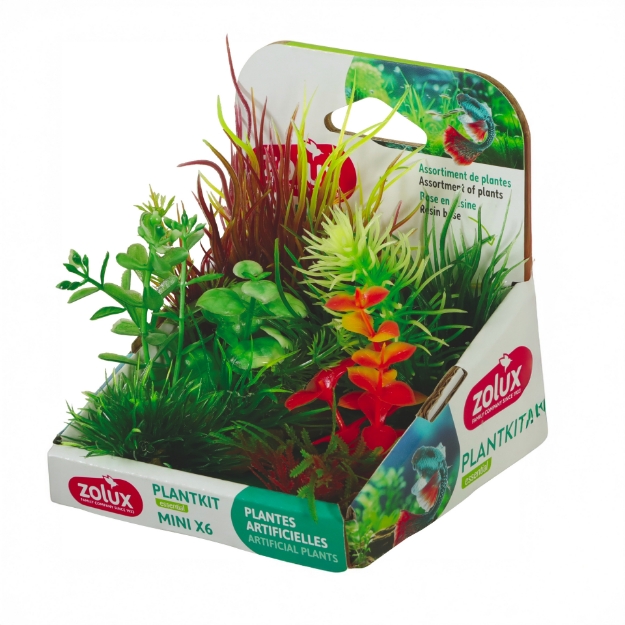 Image de PLANTKIT MINI X6 MOD3