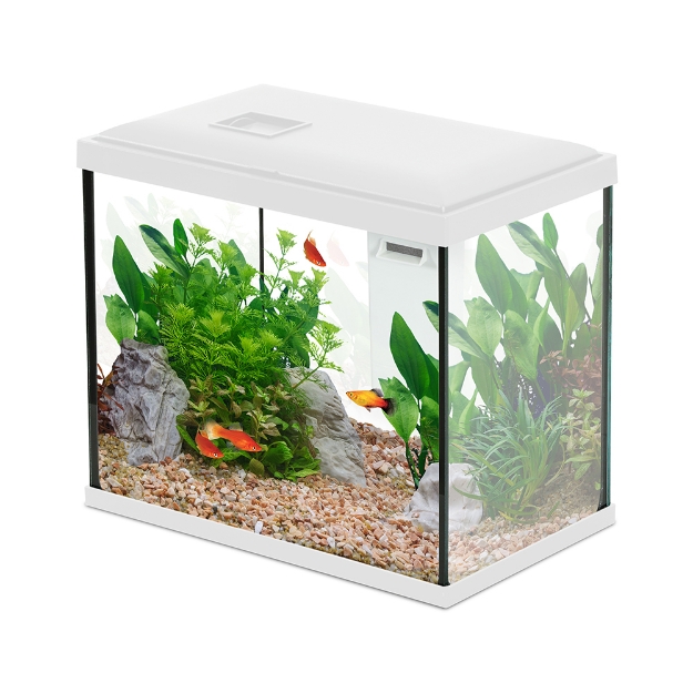 Image de AQUA INITIO 30 BLANC