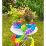 Image de Acer palm. 'Festival'®