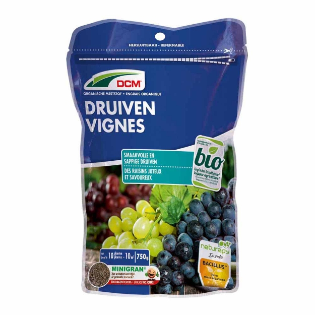 Image de DCM VIGNES 0,65KG