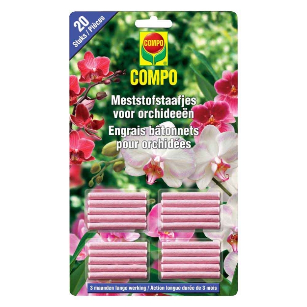 Image de COMPO BATONNETS ORCHIDÉES 20 ST