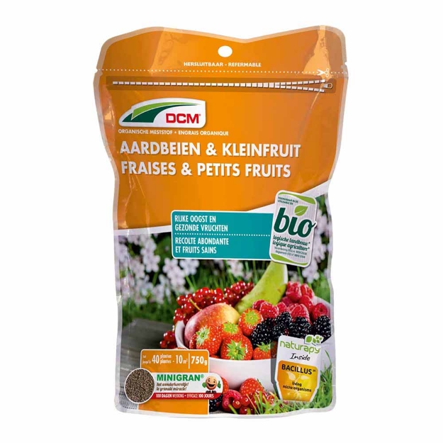 Image de DCM FRAISE/PETIT FR 0,65KG