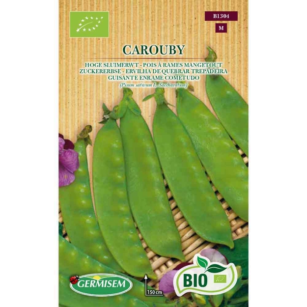 Image de Graines bio de pois à rames mangetout carouby