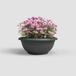 Image de COUPE VENEZIA 40CM ANTHRACITE