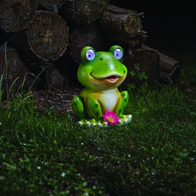 Image de Grenouille solaire clin d'œil