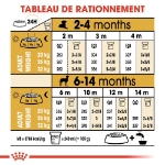 Image de BHN Dalmatian Puppy 12kg