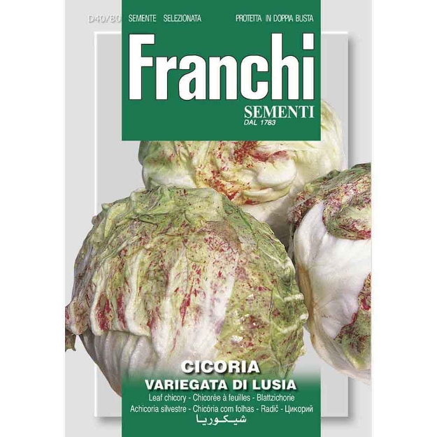 Image de Graines chicoree cicoria var di lusia - Franchi