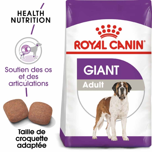 Image de SHN Giant Adult 4kg