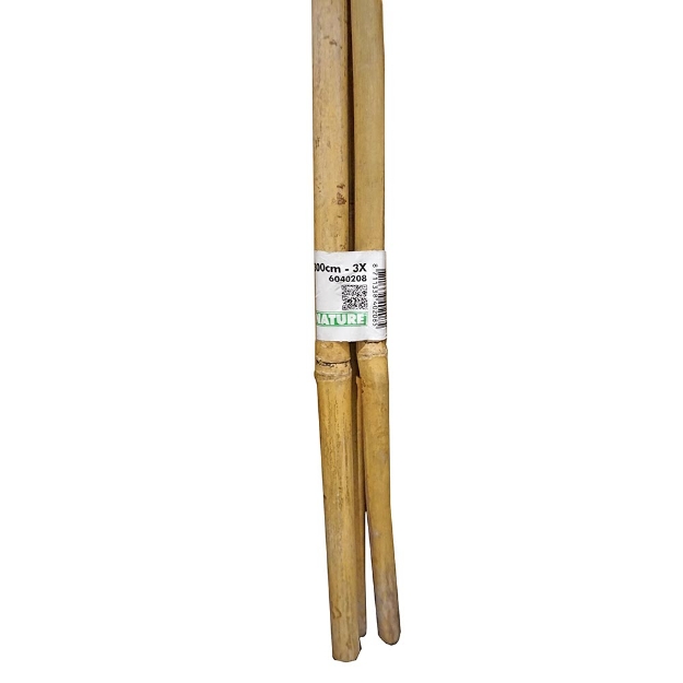 Image de Tuteur bambou naturel H300 cm x Ø20-22 mm - 3 x