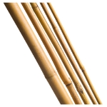 Image de Tuteur bambou naturel H300 cm x Ø20-22 mm - 3 x