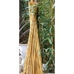 Image de Tuteur bambou naturel H300 cm x Ø20-22 mm - 3 x