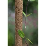 Image de Agrafes métalliques pour tuteur coco 10pcs