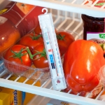 Image de Thermomètre pour congélateur - mesure -50C° +50 C°