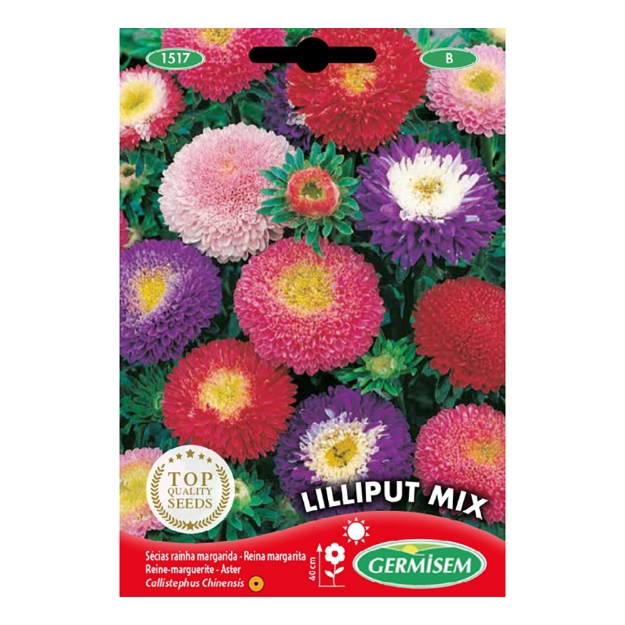 Image de Graines de callistephus (reine-marguerite) lilliput varié