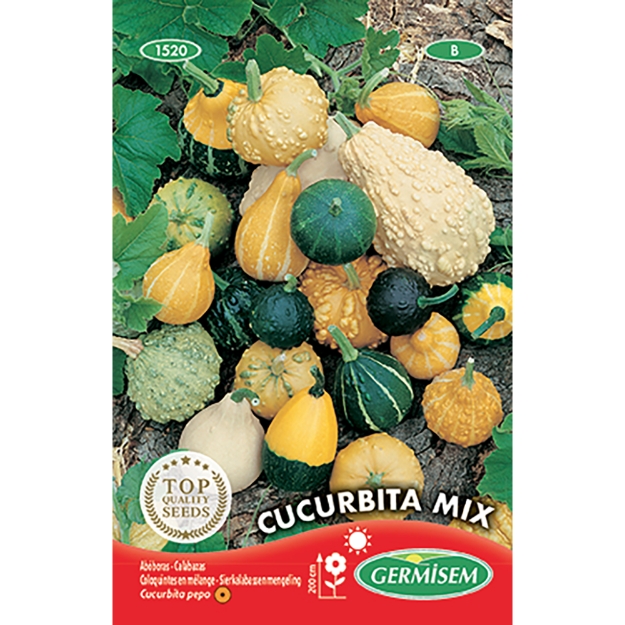 Image de Graines de coloquintes en mélange