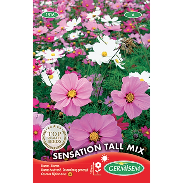 Image de Graines de cosmos sensation haut varié