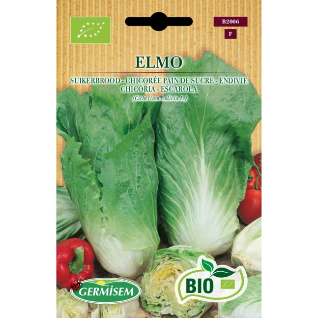 Image de Graines bio de Chicorée sauvage Pain de Sucre Elmo