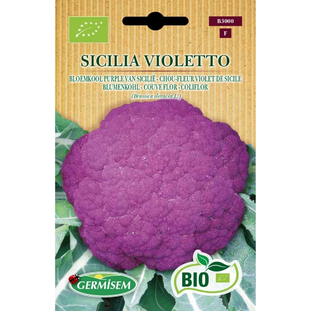 Image de Graines bio de Chou-fleur violet de Sicile