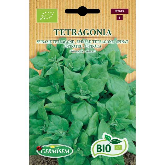 Image de Graines bio d' Epinard Tétragone
