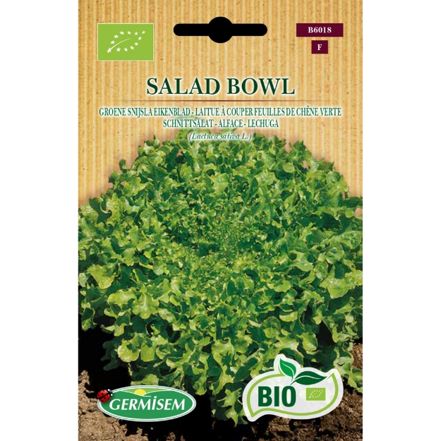 Image de Graines bio de Laitue feuilles de chêne Salad Bowl verte