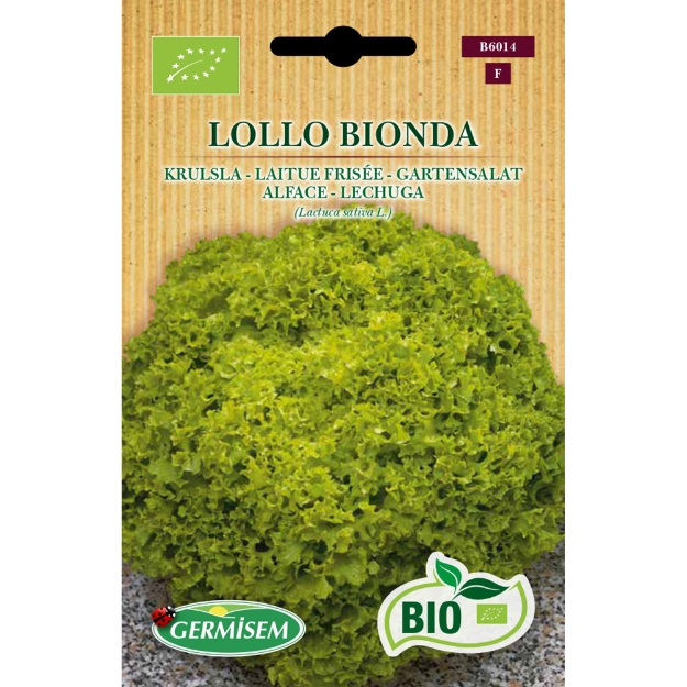Image de Graines bio de Laitue frisée Lollo Bionda