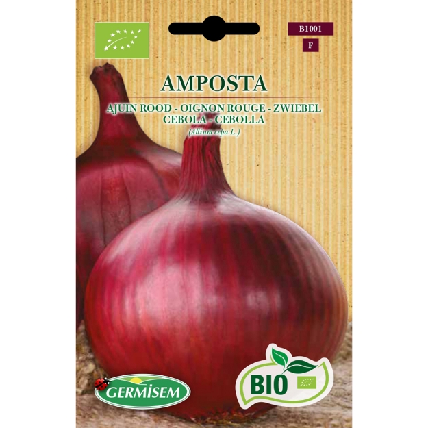 Image de Graines bio d' Oignon rouge Amposta