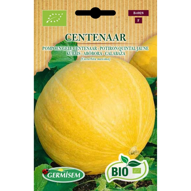 Image de Graines bio de Potiron Quintal jaune