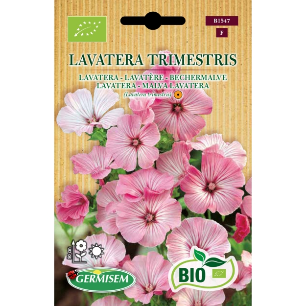 Image de Graines bio de Lavatere Silver Cup