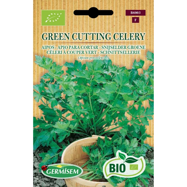 Image de Graines bio de céleris à couper vert