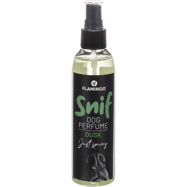 Image de PARFUM DUSK - 120 ML