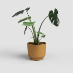 Image de POT MIAMI 13 MA JAUNE MIEL