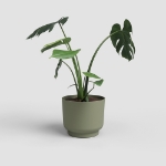 Image de POT MIAMI 16 MA VERT CENDRÉ