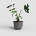 Image de POT MIAMI 18 MA ANTHRACITE