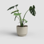 Image de POT MIAMI 18 MA CRÈME