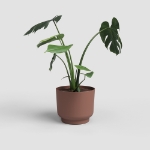 Image de POT MIAMI 20 MA MARROM MOCHA