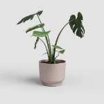 Image de POT MIAMI 25 MA ROSE CLAIR