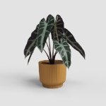 Image de POT MIAMI WAVY 6 MA JAUNE MIEL