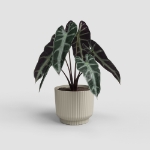 Image de POT MIAMI WAVY 30 MA CRÈME