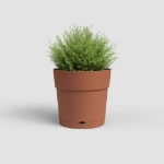 Image de POT CAPRI LARGE RE 30 MA TERRE CUITE