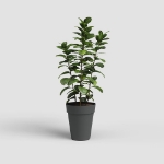 Image de POT CAPRI HAUT 46 MA ANTHRACITE