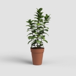 Image de POT CAPRI HAUT 46 MA TERRE CUITE