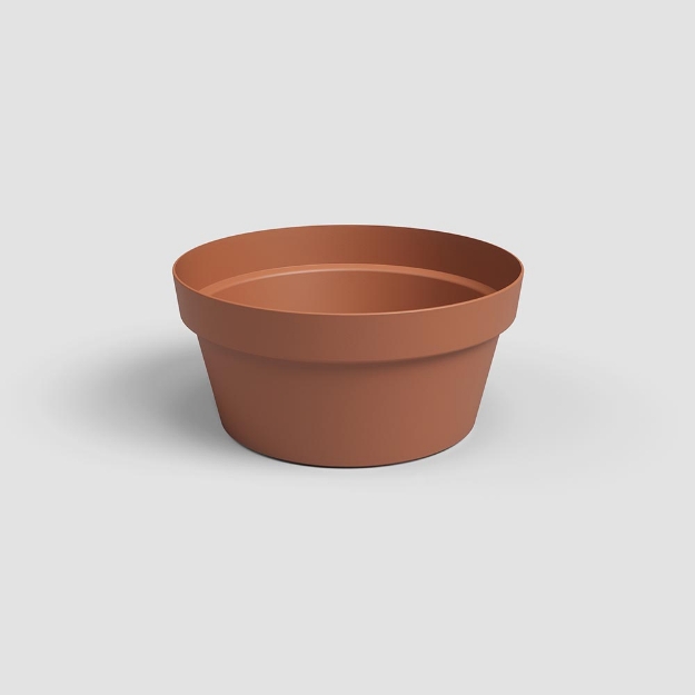 Image de COUPE CAPRI 25 MA TERRE CUITE