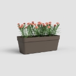 Image de JARDINIÈRE CAPRI RE 50 MA BRONZE