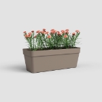 Image de JARDINIÈRE CAPRI RE 50 MA TAUPE