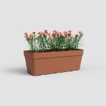 Image de JARDINIÈRE CAPRI RE 50 MA TERRE CUITE